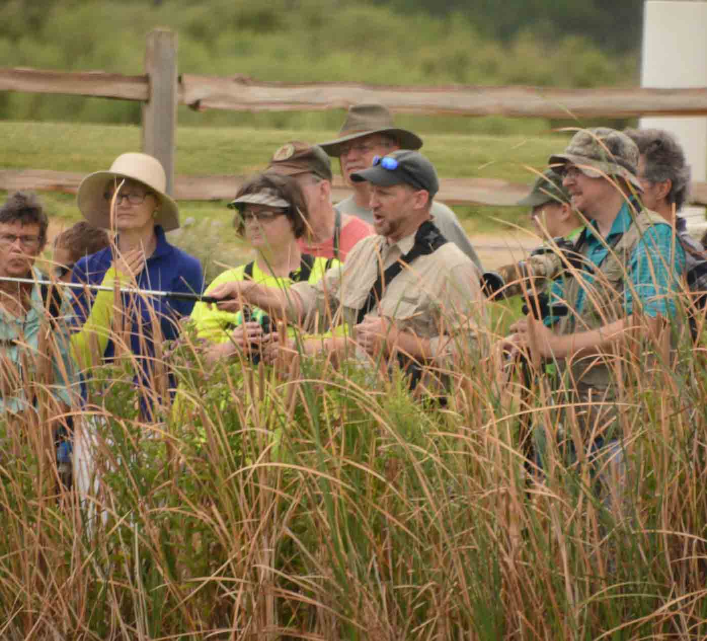 Nature tour group behind tall prairie grass