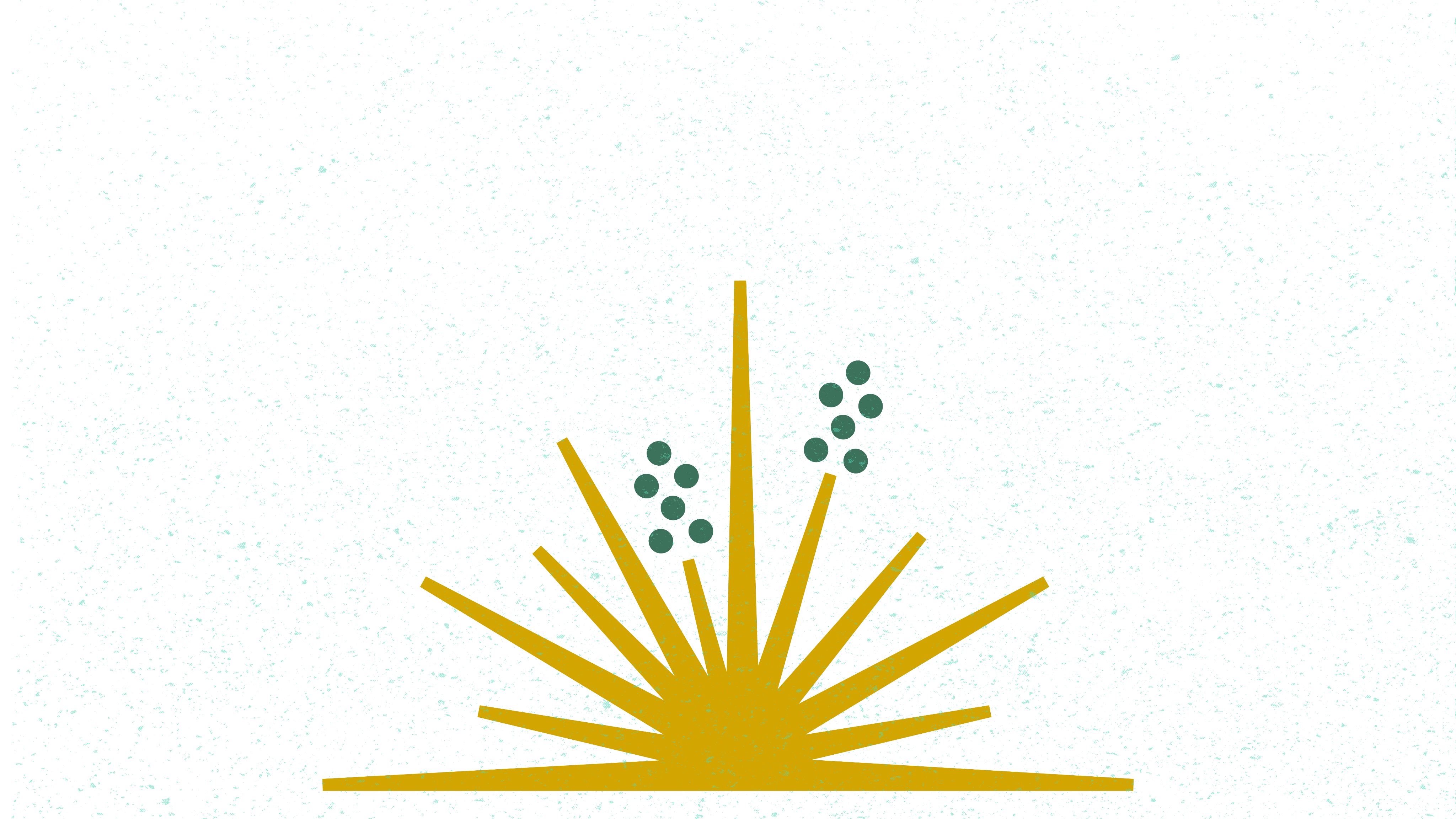 gold_yucca_with_green idealized drawing of yucca
