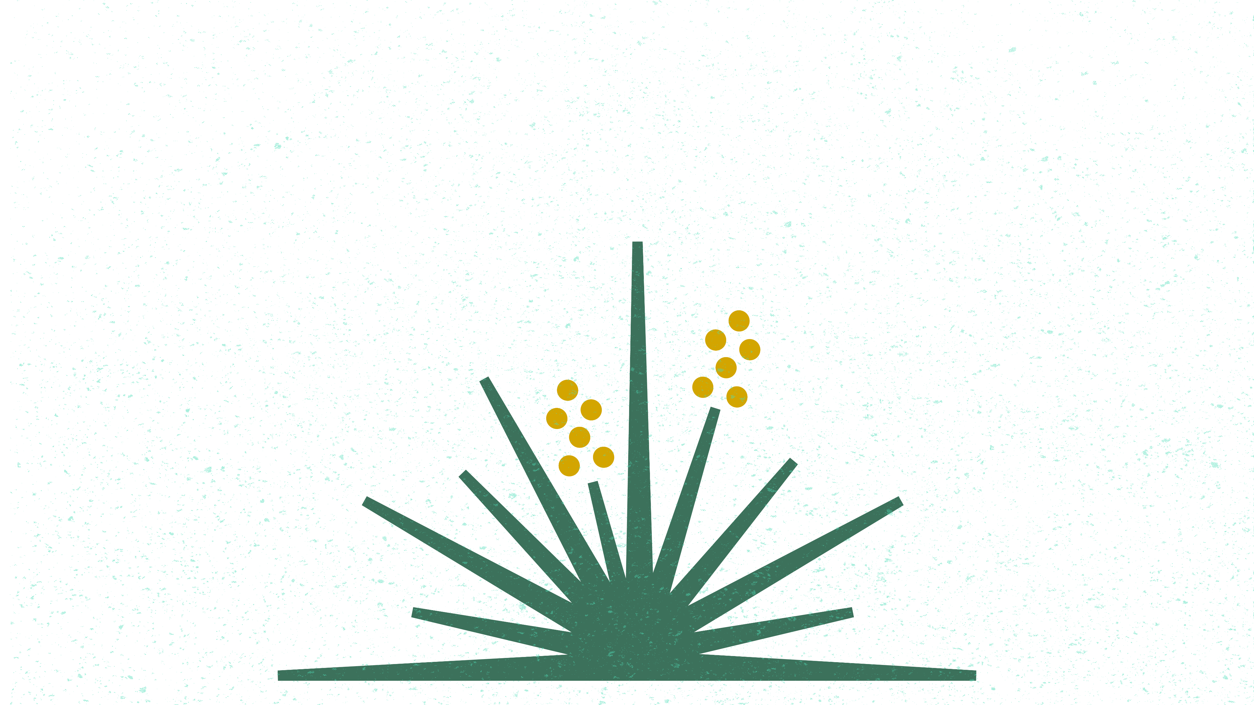 green_yucca_with_gold